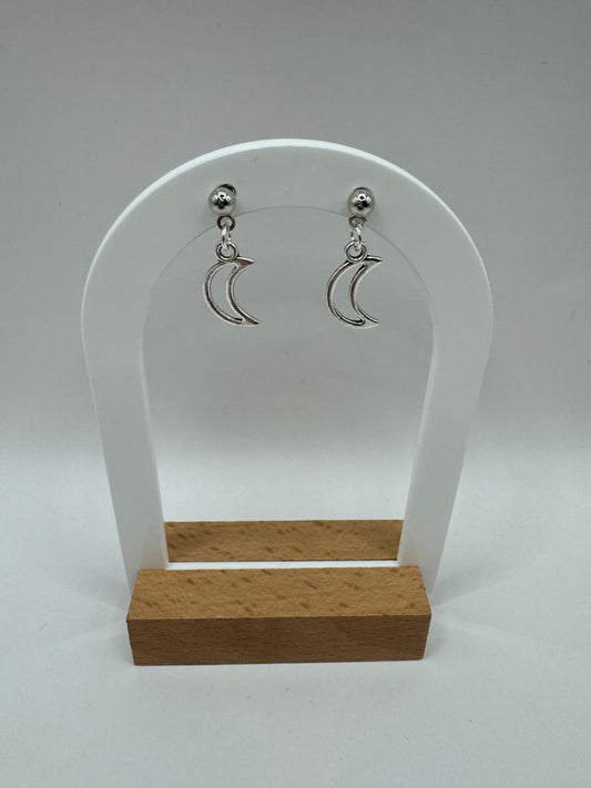 Moon Fashion Earrings