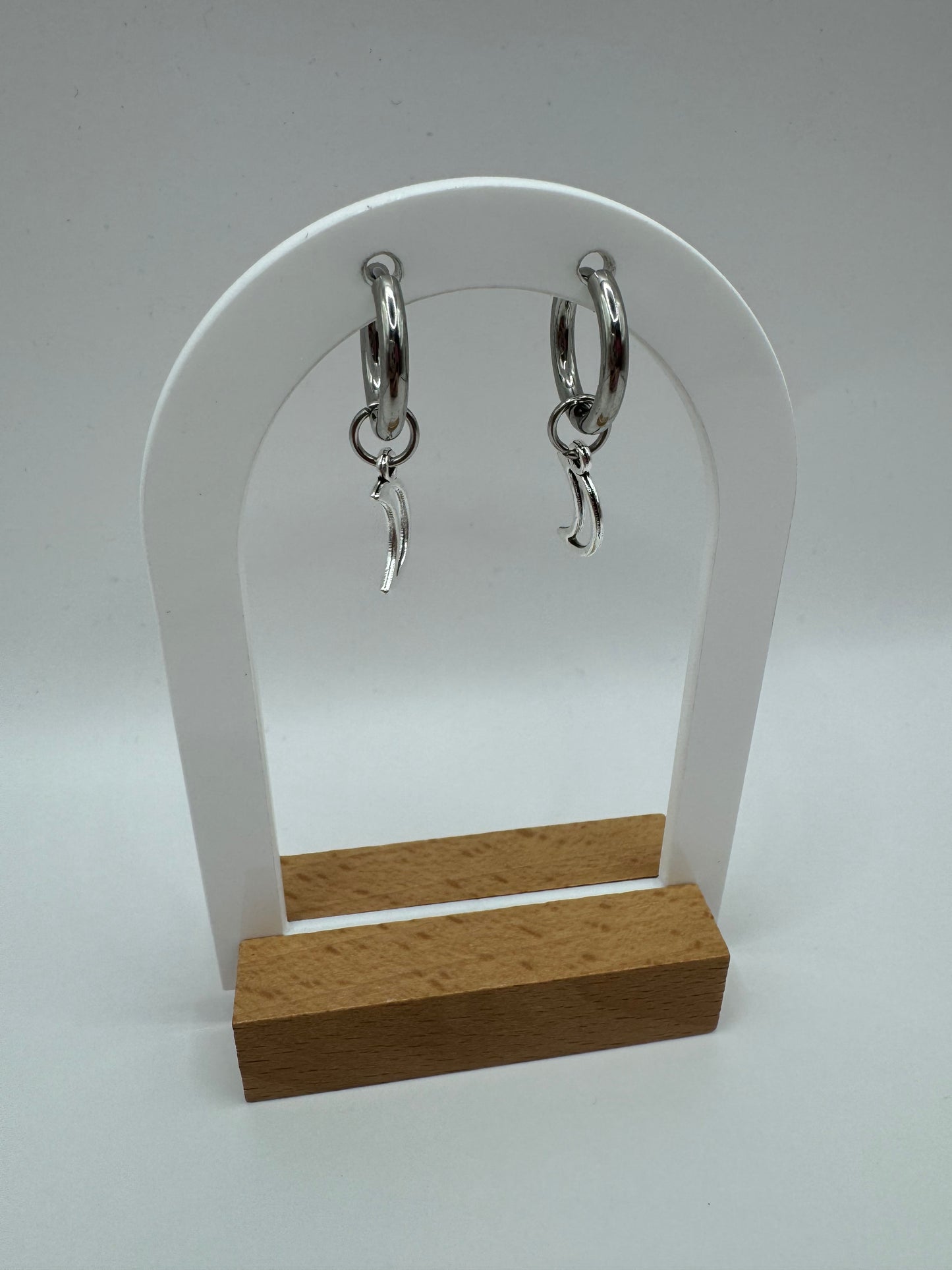 Moon Fashion Earrings